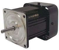 FHP AC INDUCTION MOTORS