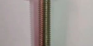 Stainless Steel Bolt