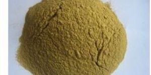 Dehydrated Chilli Powder