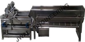 Commercial Fruit Washer