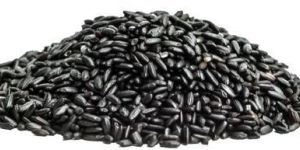 Black Rice