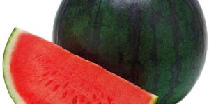 High Quality Watermelon