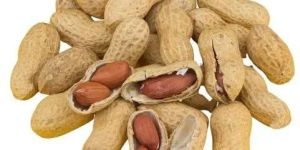 Organic Whole Groundnut