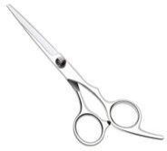 Salon Scissors