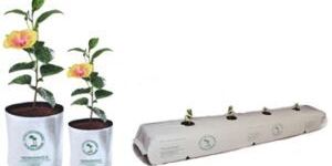 Coco Peat Grow Bag