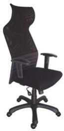 Ergonomic Chair