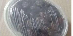 Dates Container