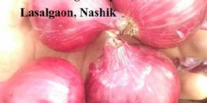 Fresh Pink Onion