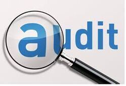 Auditing Services