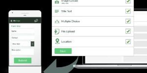 Web Based Data Collection Services
