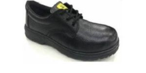 Allen Cooper Safety Shoes