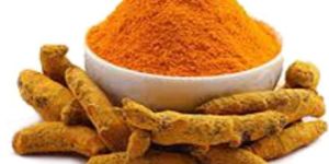Indian Turmeric Finger
