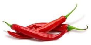 Red Chillies