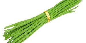 Green Drumstick
