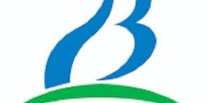 Blb Erythritol Sweetener