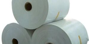 PE Coated Duplex Paper