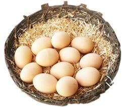 Kadaknath Eggs