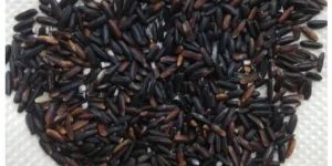 Organic Black Rice