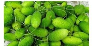 Organic Green Kantola