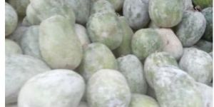 Organic Wax Gourd