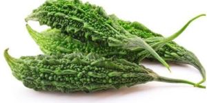 Bitter Gourd