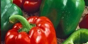 Preserved Bell Pepper