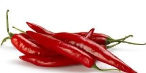 Preserved Red Chilli