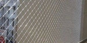 Bird Net