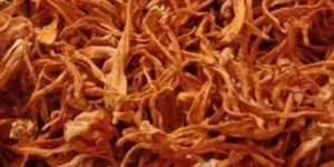 Dried Cordyceps Militaris Mushroom