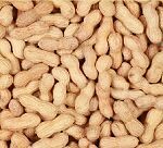 In Shell Peanuts