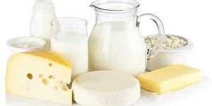 Dairy Products