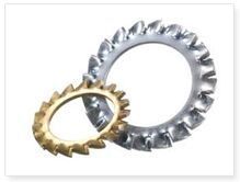 External Tooth Washers