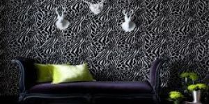 Sun Control Films