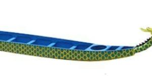 Dragon Boats