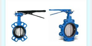Butterfly Valve