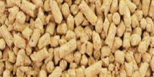 Horse Feed