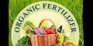 NEEMO ORGANIC Neem Base Manure