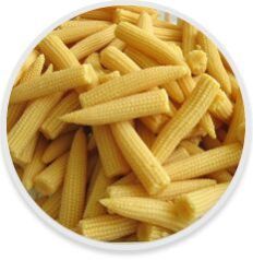 Frozen Baby Corn