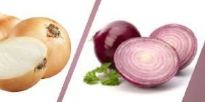 Onion