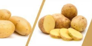 Potato