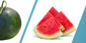 Watermelon