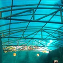POLYCARBONATES ROOFING SHEETS