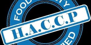 Haccp Consultant Services