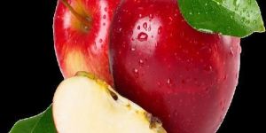 Fuji Apple