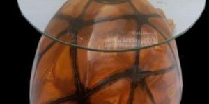 Glass Top Table with Turtle Base