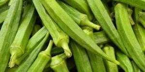 Okra