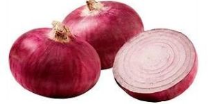 Onion