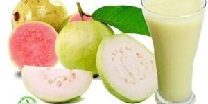 Guava Pulp