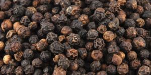 Black Pepper