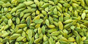 Green Cardamom